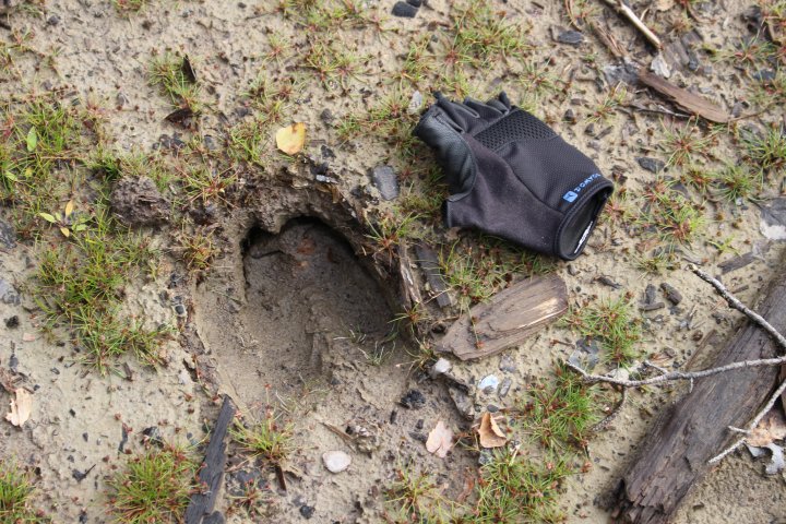 Scandtrack Kanutour Schweden 25
