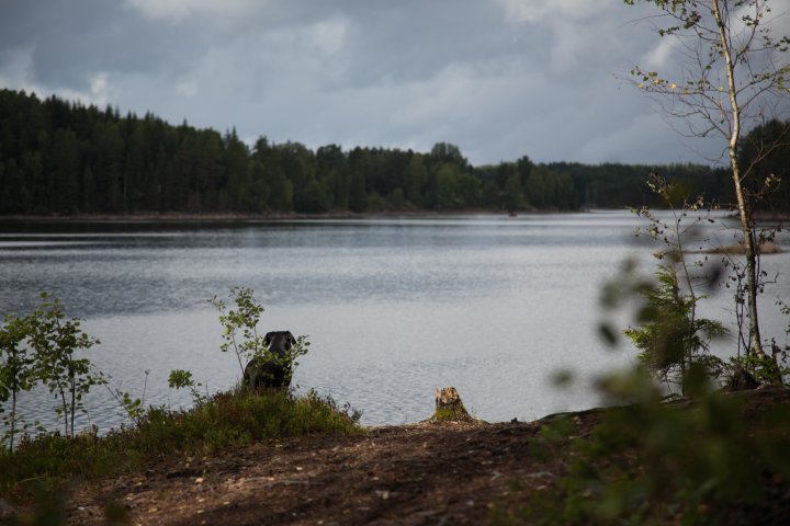 Scandtrack Kanutour Schweden UT0A0616 &copy; WEBER-FOTO.COM