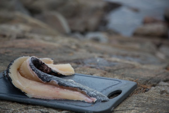 Scandtrack Kanutour Schweden UT0A1092 &copy; WEBER-FOTO.COM