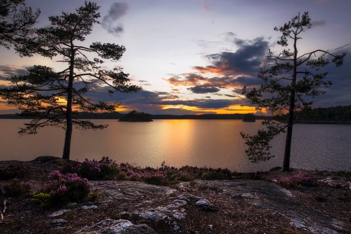 Scandtrack Kanutour Schweden SonnenuntergangDano8