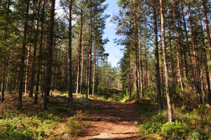 Scandtrack Kanutour Schweden DSC0032