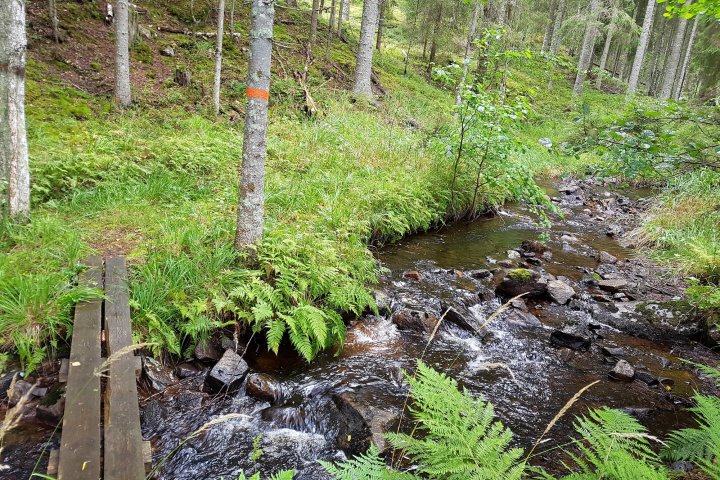 Scandtrack Kanutour Schweden 20170820102738