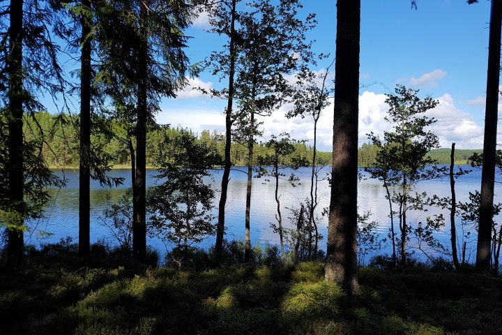 Scandtrack Kanutour Schweden 20170820154940