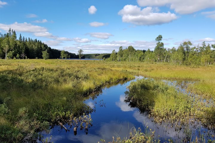 Scandtrack Kanutour Schweden 20170822160734