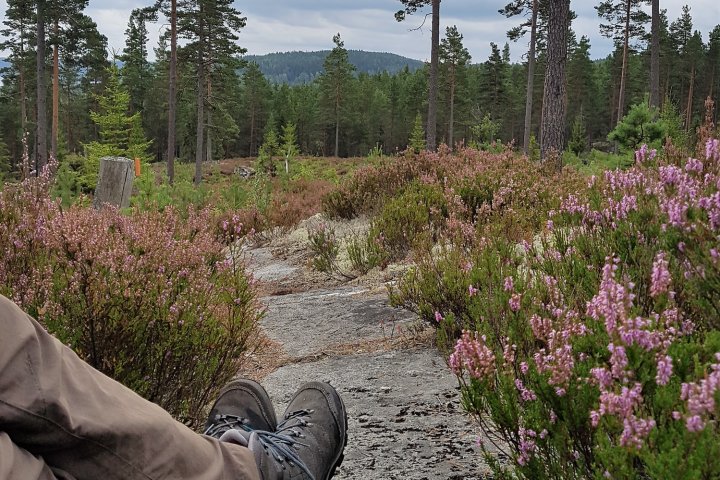 Scandtrack Kanutour Schweden 20170824121610