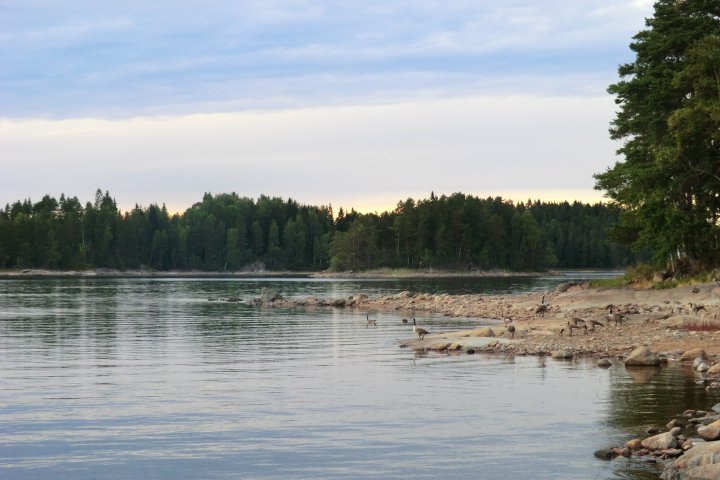 Scandtrack Kanutour Schweden CIMG0153
