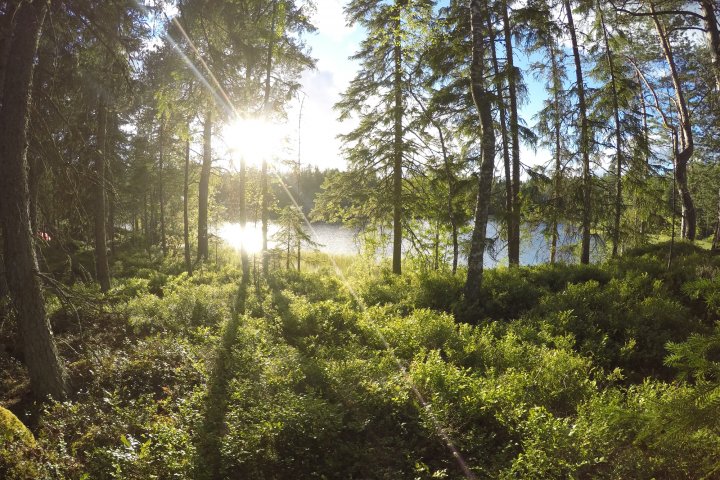Scandtrack Kanutour Schweden GOPR3987