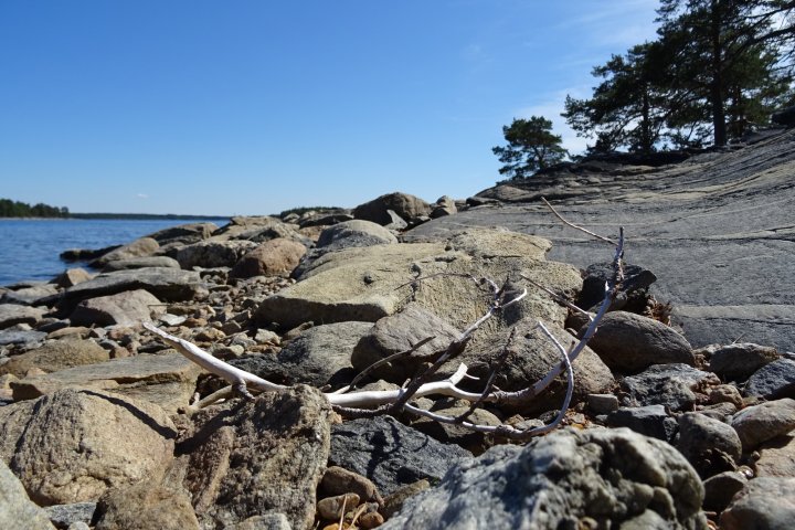 Scandtrack Kanutour Schweden 172017aufeinerInsel