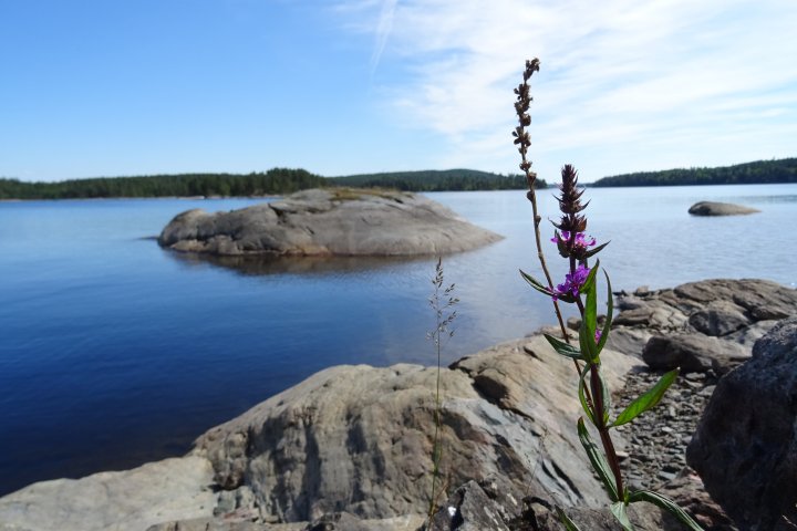 Scandtrack Kanutour Schweden 172017BlickaufdasWasser