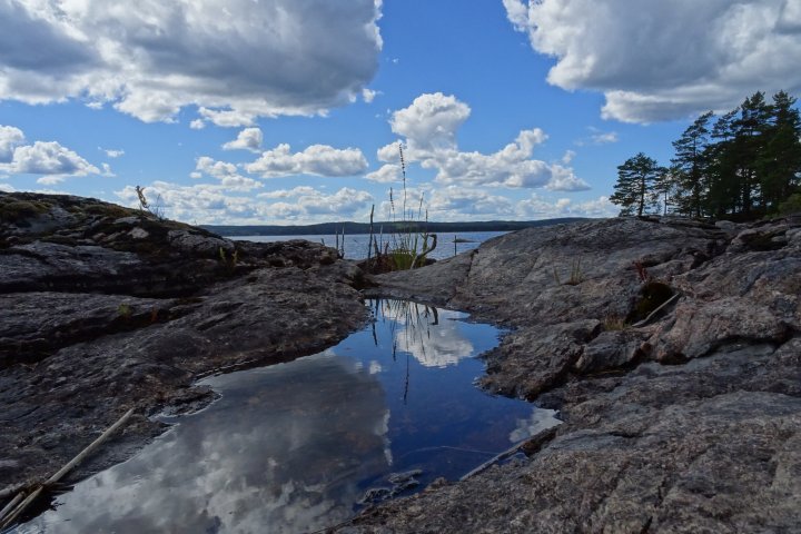 Scandtrack Kanutour Schweden 172017Wasserpftze