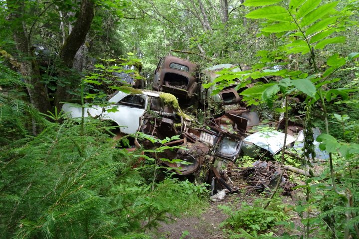 Scandtrack Kanutour Schweden 272017Autofriedhof2