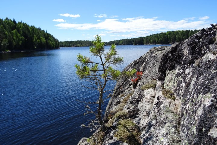 Scandtrack Kanutour Schweden 472017Bumchen
