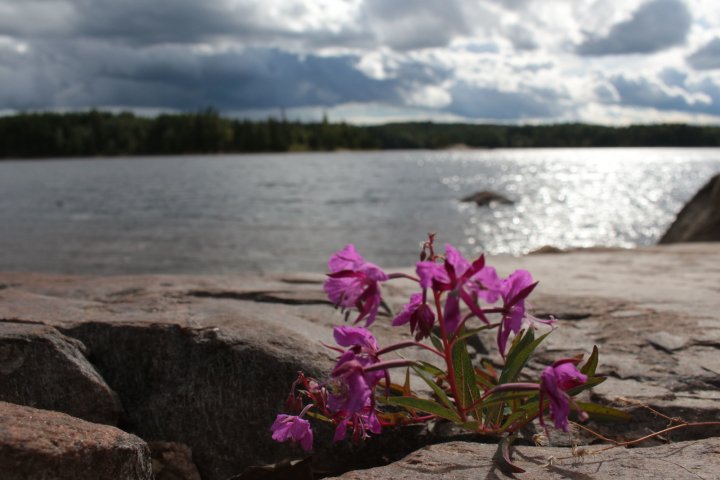 Scandtrack Kanutour Schweden IMG1295min