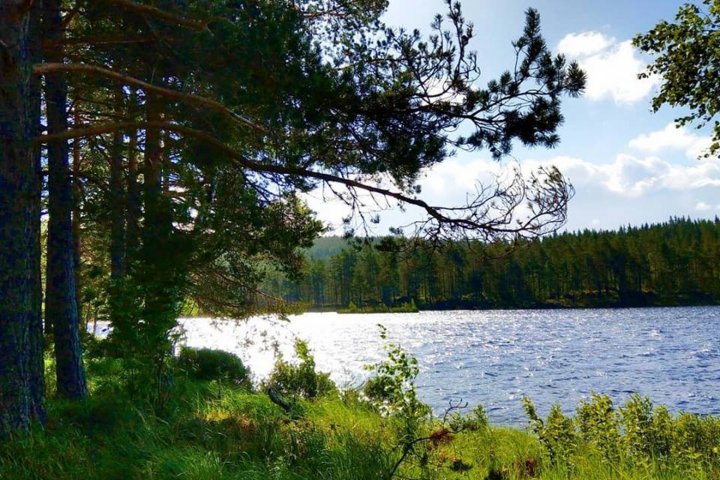 Scandtrack Kanutour Schweden 360379496410594929208382121490020593303552n