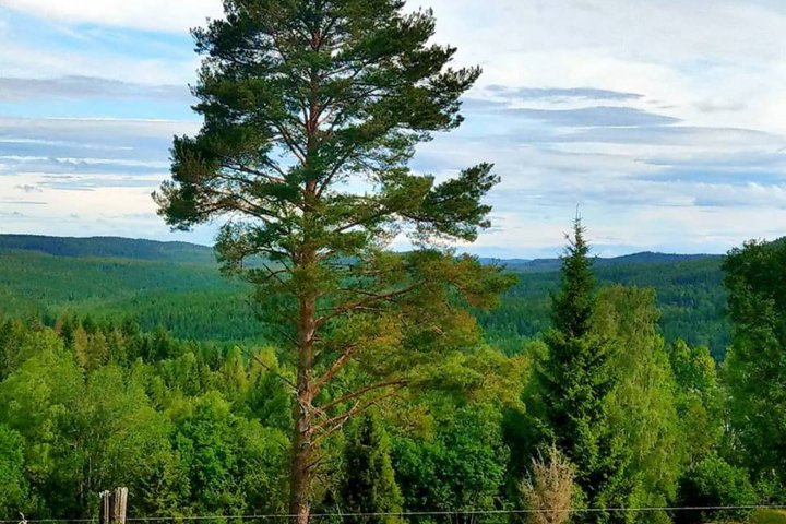 Scandtrack Kanutour Schweden 362833806410595395875005877502349022330880n