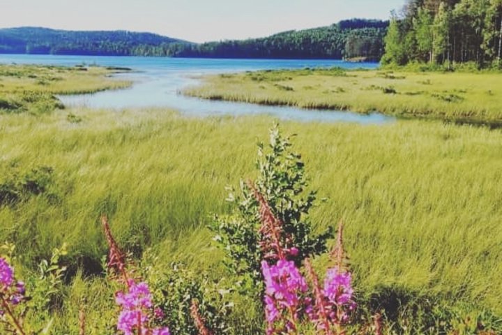 Scandtrack Kanutour Schweden 363032546410609062540302515847483851014144n