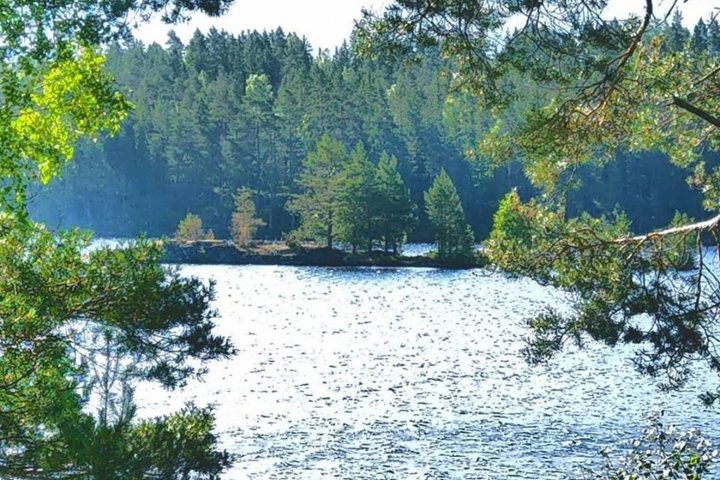 Scandtrack Kanutour Schweden 363201946410596195874924343992213085093888n