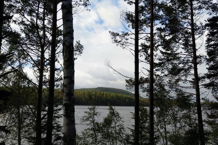 Scandtrack Kanutour Schweden 36369091644492189244235182121250598944768n