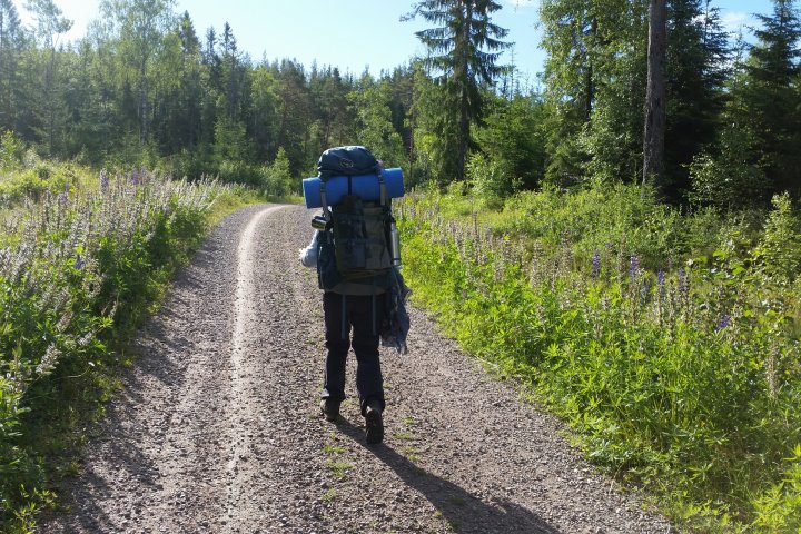 Scandtrack Kanutour Schweden 20180622081841
