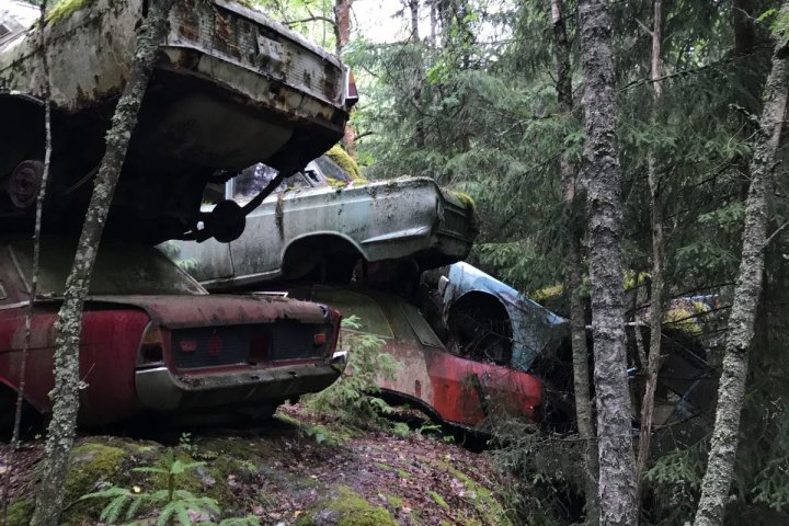 Scandtrack Kanutour Schweden IMG20180624WA0214