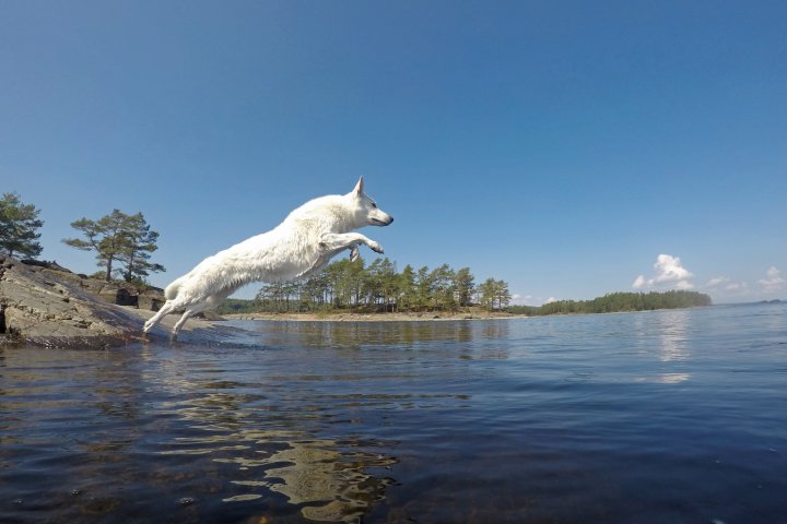 Scandtrack Kanutour Schweden G0045000