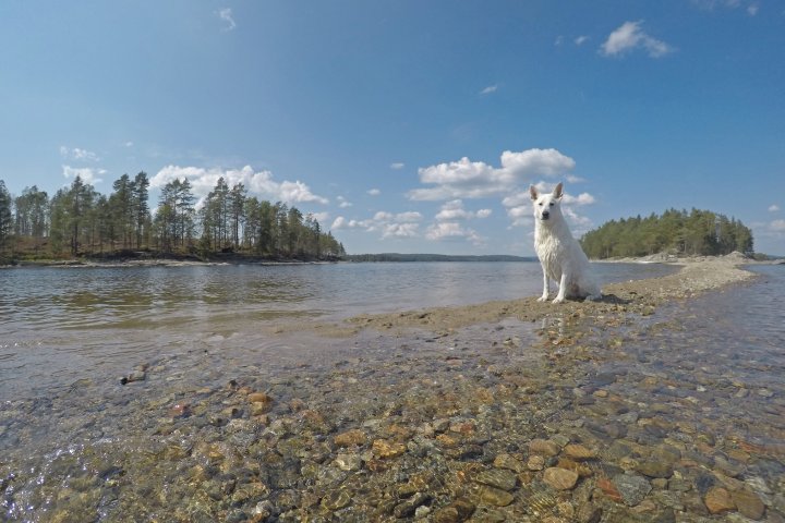 Scandtrack Kanutour Schweden G0475321