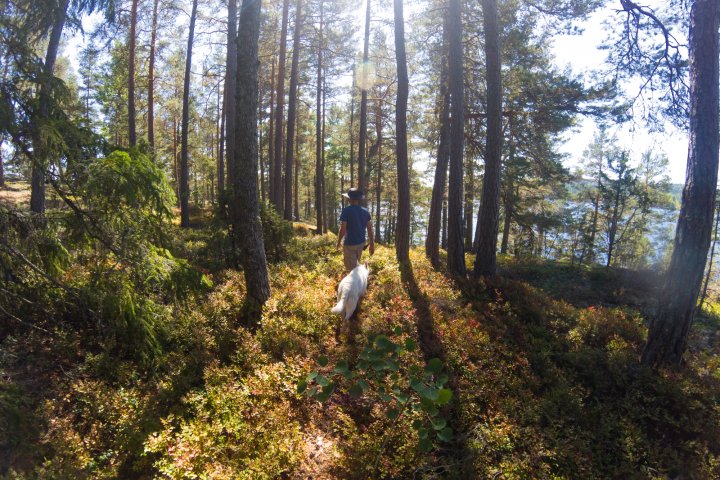 Scandtrack Kanutour Schweden GOPR3655