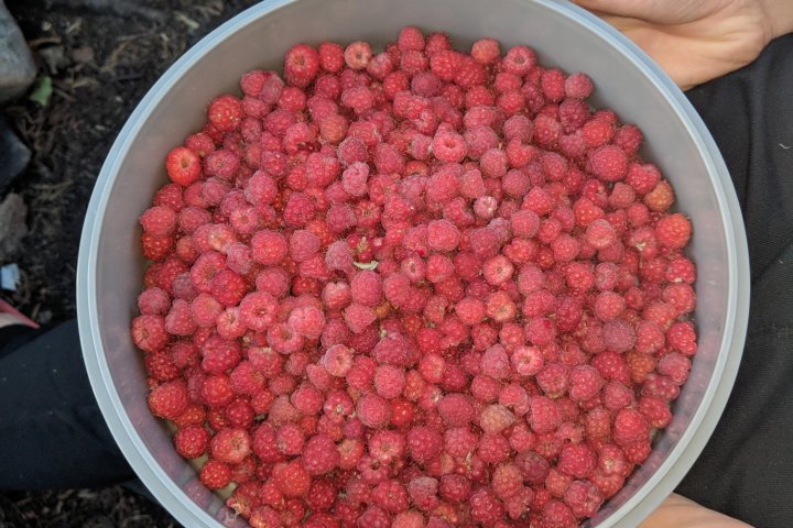 Scandtrack Kanutour Schweden IMG20180713215135