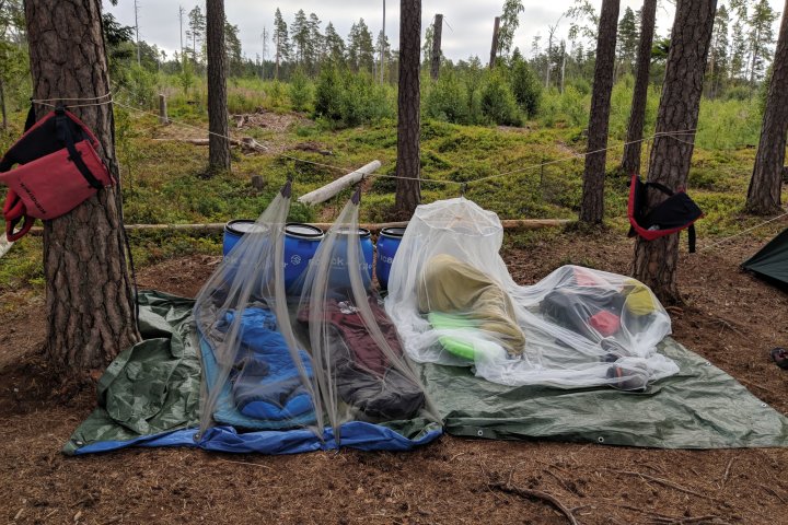 Scandtrack Kanutour Schweden IMG20180714072605