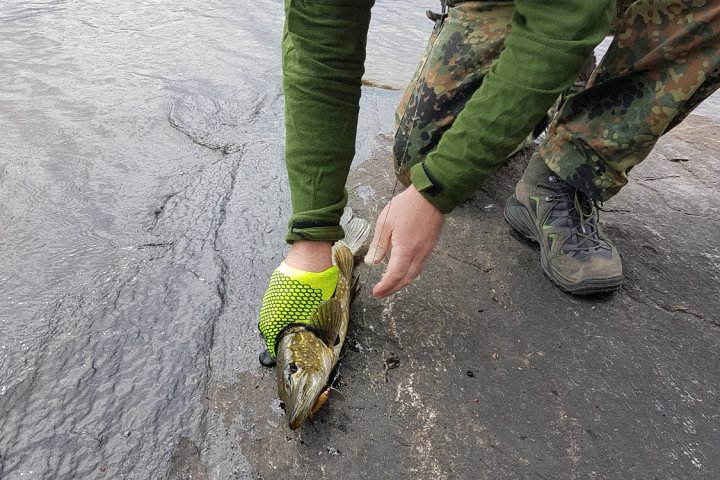 Scandtrack Kanutour Schweden 20180622115139