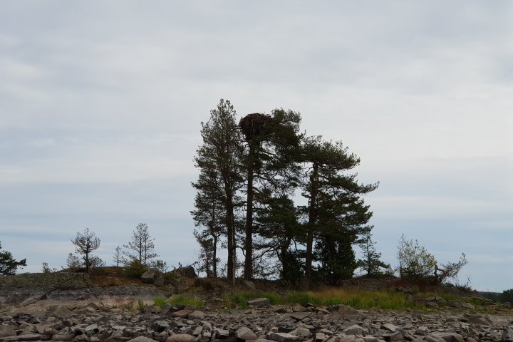 Scandtrack Kanutour Schweden 119