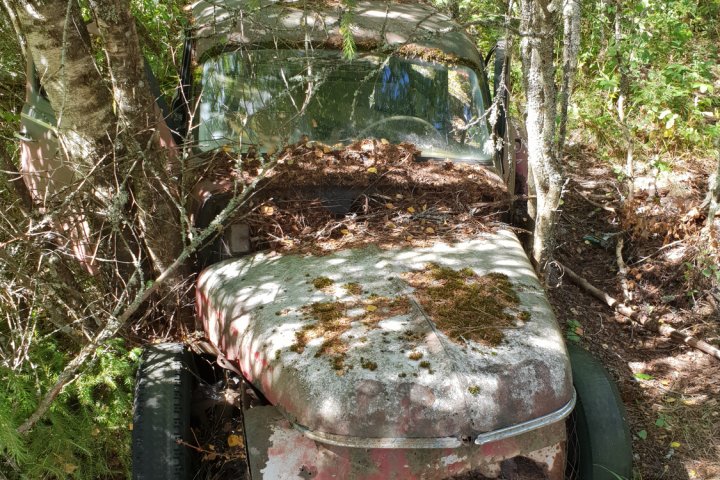 Scandtrack Kanutour Schweden 128