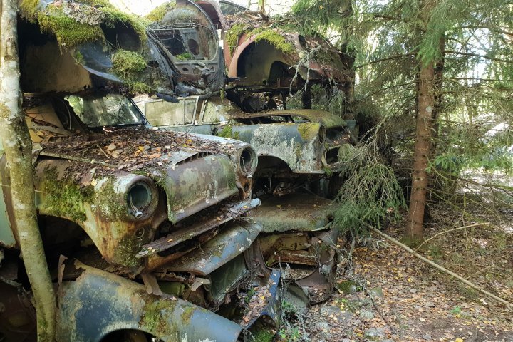 Scandtrack Kanutour Schweden 31