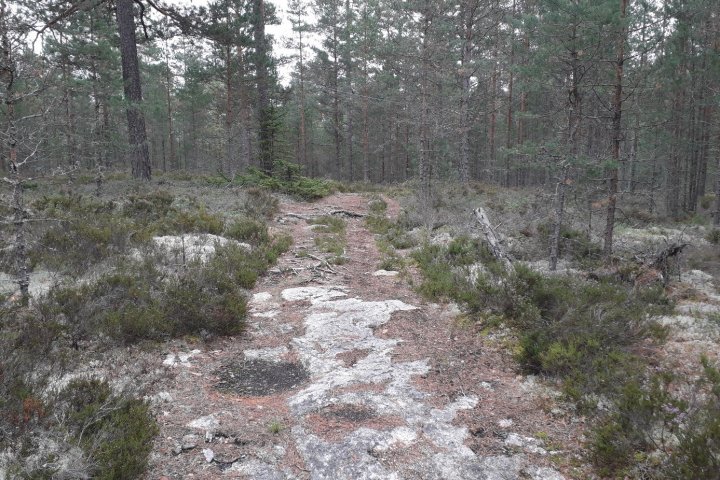 Scandtrack Kanutour Schweden bild11
