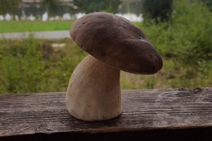 Scandtrack Kanutour Schweden bild13
