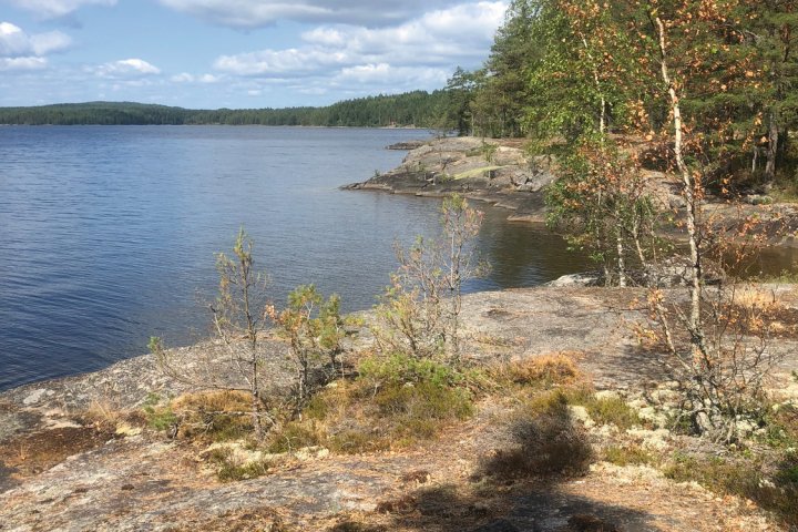 Scandtrack Kanutour Schweden KanuurlaubMeents2