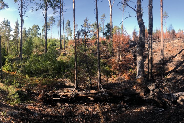 Scandtrack Kanutour Schweden KanuurlaubMeents4