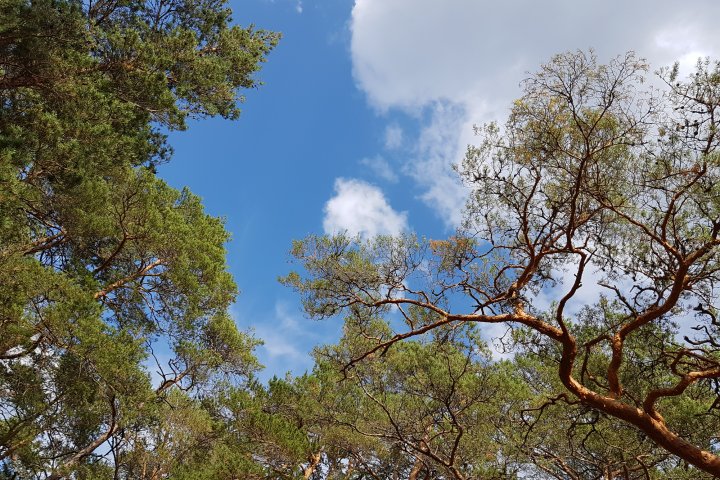 Scandtrack Kanutour Schweden 20180728170026