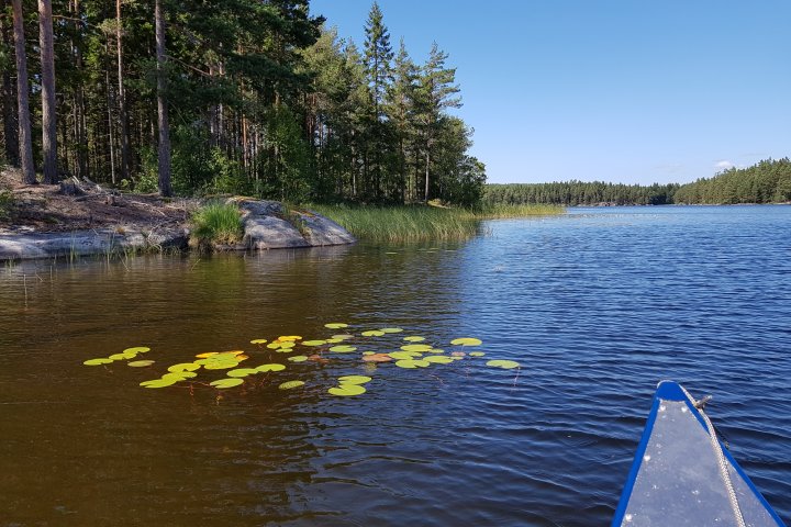 Scandtrack Kanutour Schweden 20180729144010