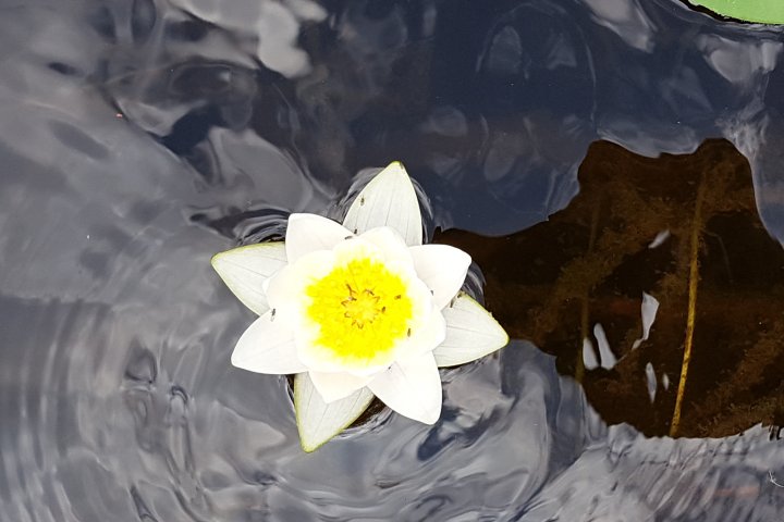 Scandtrack Kanutour Schweden 20180731124630