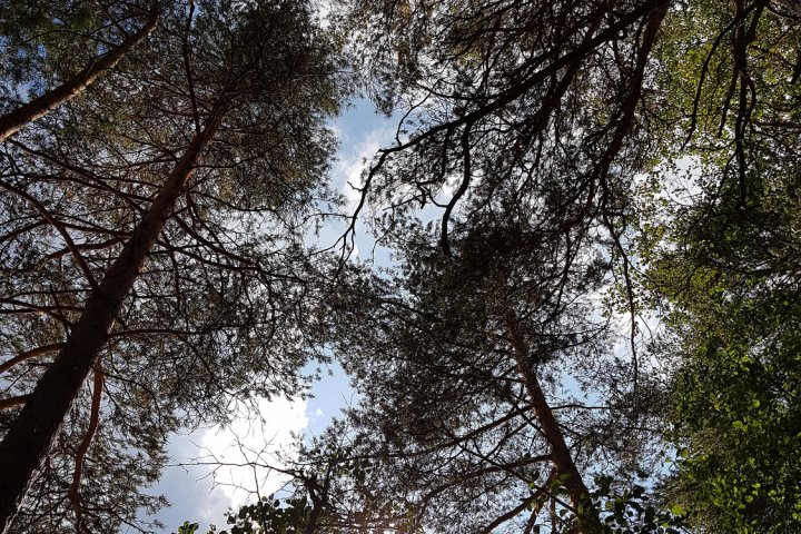 Scandtrack Kanutour Schweden 20180731151405