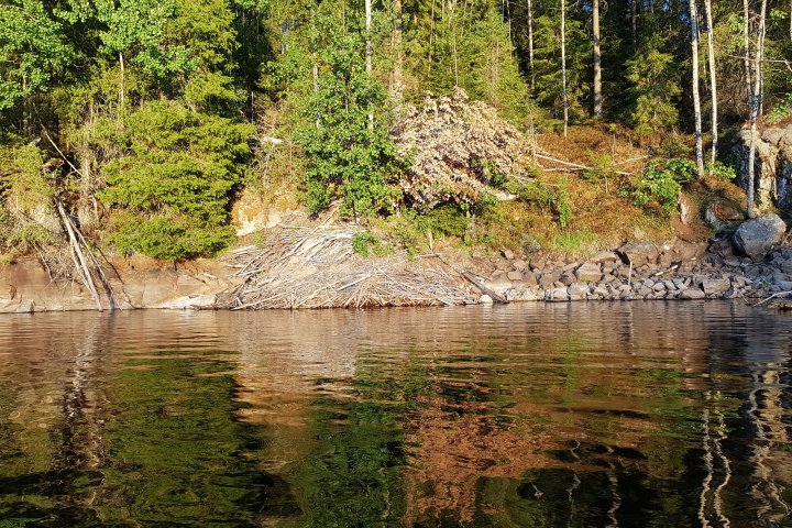 Scandtrack Kanutour Schweden 20180801205119