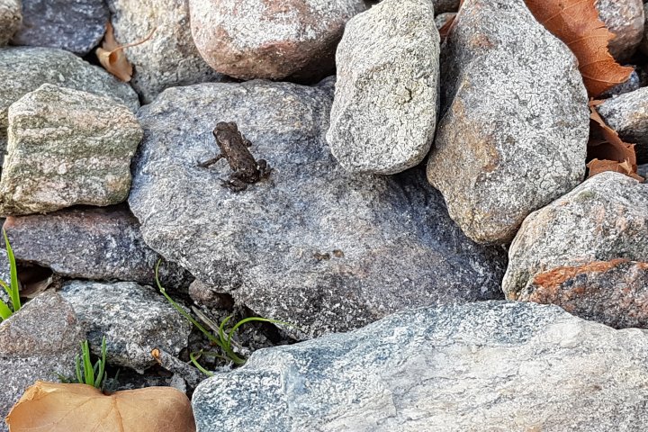 Scandtrack Kanutour Schweden 20180803074221