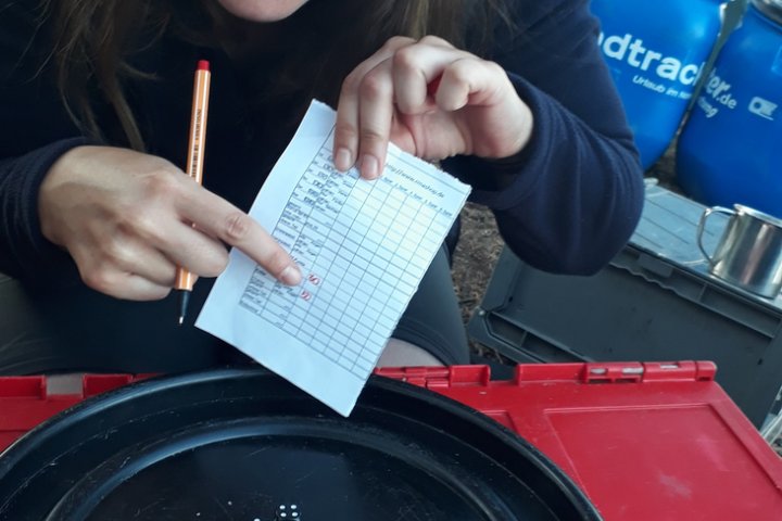Scandtrack Kanutour Schweden 120180821200405