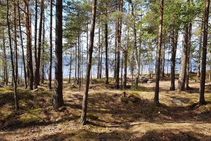 Scandtrack Kanutour Schweden 20180728143546
