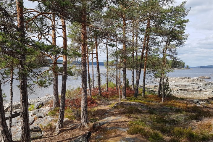 Scandtrack Kanutour Schweden 201808031450290