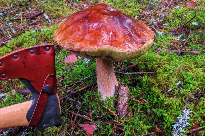 Scandtrack Kanutour Schweden IMG2018091117480701
