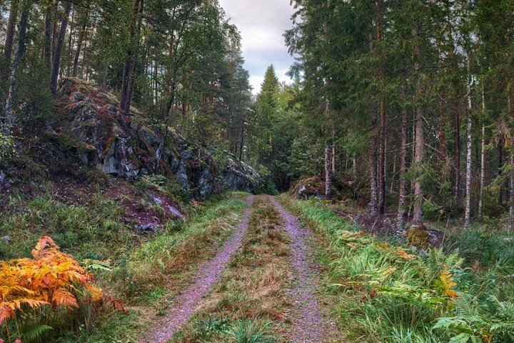 Scandtrack Kanutour Schweden PANO2018091118163301