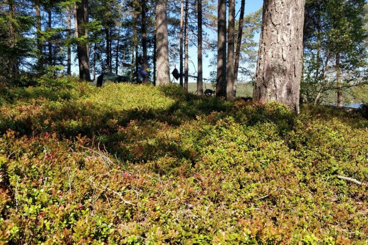 Scandtrack Kanutour Schweden photo20181014190033