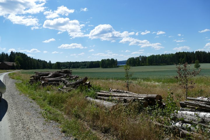 Scandtrack Kanutour Schweden P1020554